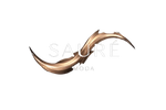 Sauré - Inicio